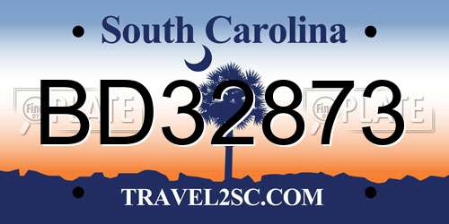 BD32873 South Carolina License Plate