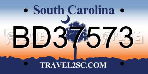 BD37573 South Carolina License Plate