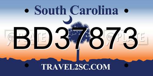 BD37873 South Carolina License Plate