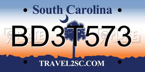 BD3T573 South Carolina License Plate