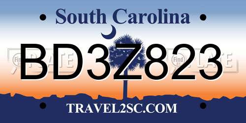 BD3Z823 South Carolina License Plate