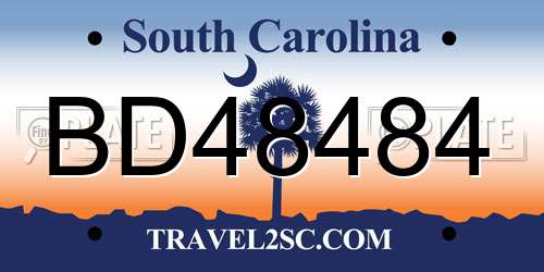 BD48484 South Carolina License Plate
