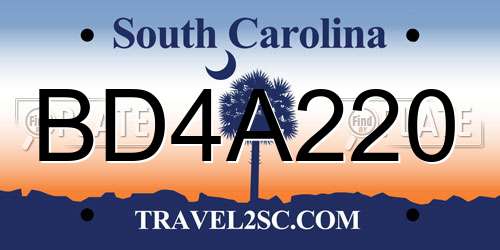 BD4A220 South Carolina License Plate