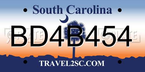 BD4B454 South Carolina License Plate