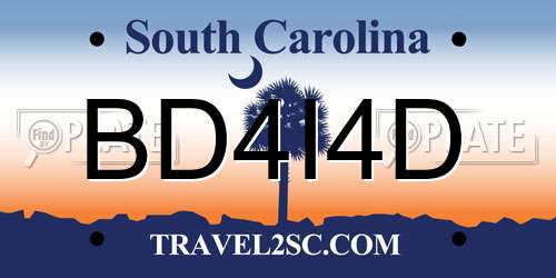 BD4I4D South Carolina License Plate