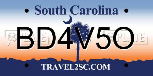BD4V5O South Carolina License Plate