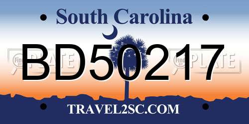 BD50217 South Carolina License Plate