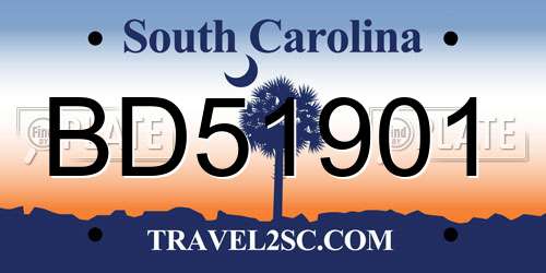 BD51901 South Carolina License Plate