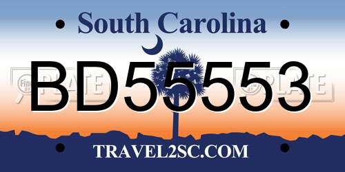 BD55553 South Carolina License Plate