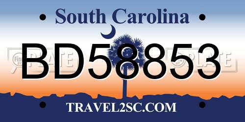 BD58853 South Carolina License Plate