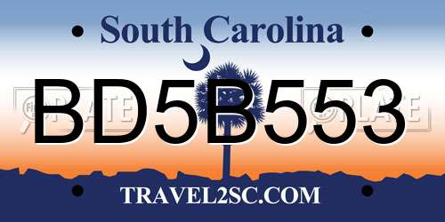 BD5B553 South Carolina License Plate