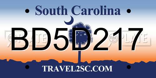 BD5D217 South Carolina License Plate