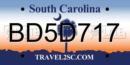 BD5D717 South Carolina License Plate