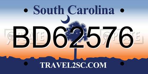 BD62576 South Carolina License Plate