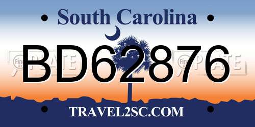 BD62876 South Carolina License Plate