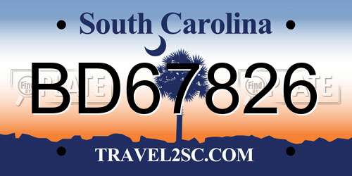 BD67826 South Carolina License Plate