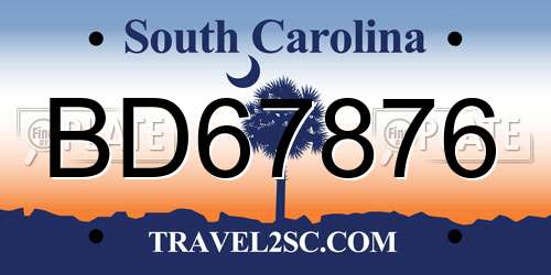 BD67876 South Carolina License Plate