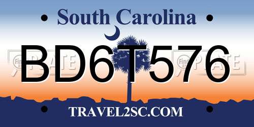 BD6T576 South Carolina License Plate