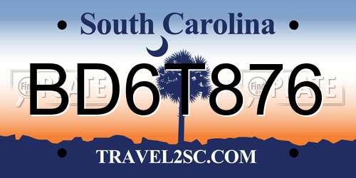 BD6T876 South Carolina License Plate