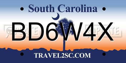 BD6W4X South Carolina License Plate