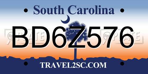 BD6Z576 South Carolina License Plate