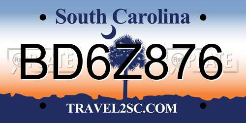 BD6Z876 South Carolina License Plate