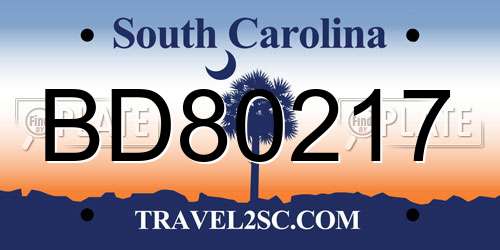 BD80217 South Carolina License Plate
