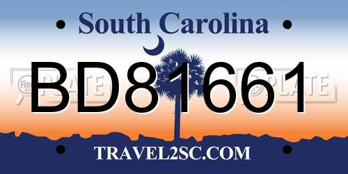 BD81661 South Carolina License Plate