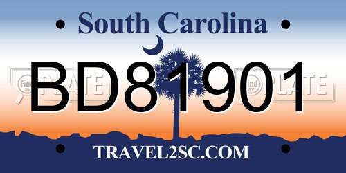 BD81901 South Carolina License Plate