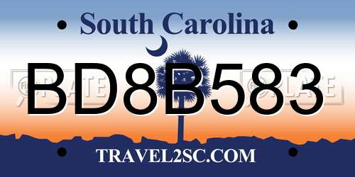 BD8B583 South Carolina License Plate