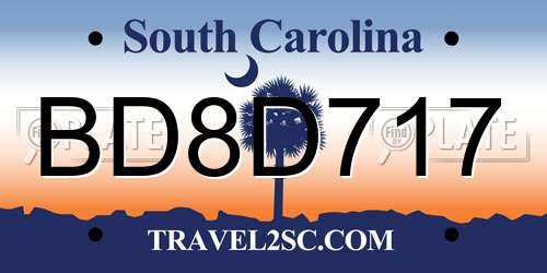 BD8D717 South Carolina License Plate