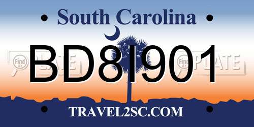 BD8I901 South Carolina License Plate