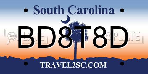 BD8T8D South Carolina License Plate