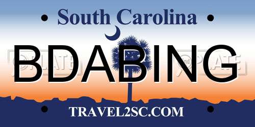 BDABING South Carolina License Plate