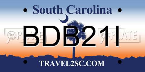 BDB21I South Carolina License Plate