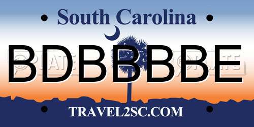 BDBBBBE South Carolina License Plate