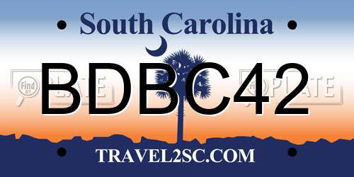 BDBC42 South Carolina License Plate