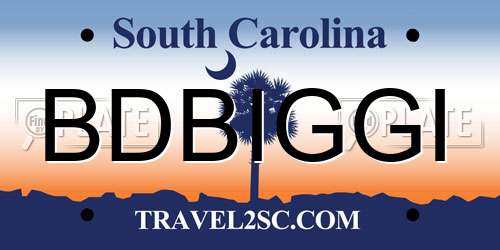 BDBIGGI South Carolina License Plate