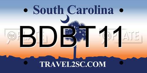 BDBT11 South Carolina License Plate