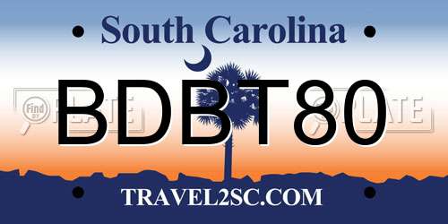 BDBT80 South Carolina License Plate