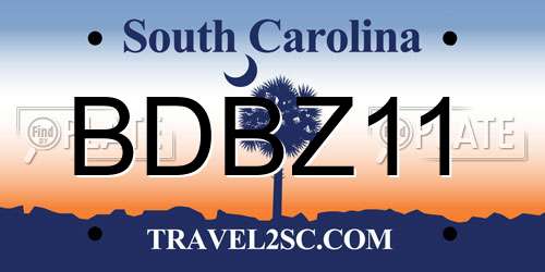 BDBZ11 South Carolina License Plate