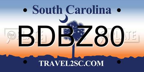 BDBZ80 South Carolina License Plate