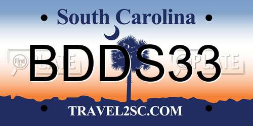 BDDS33 South Carolina License Plate