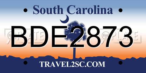 BDE2873 South Carolina License Plate