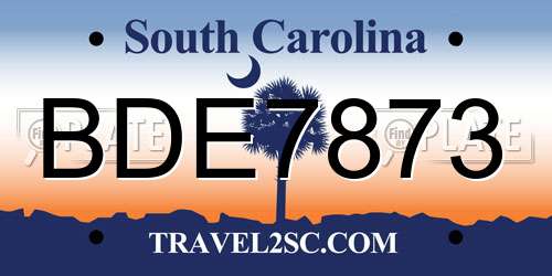 BDE7873 South Carolina License Plate
