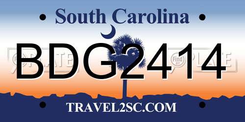 BDG2414 South Carolina License Plate