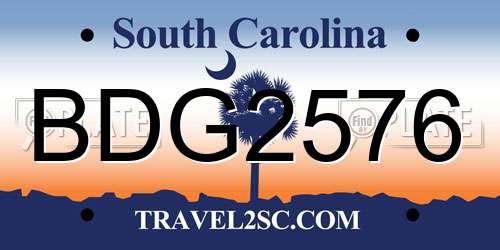 BDG2576 South Carolina License Plate