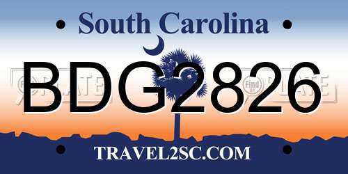 BDG2826 South Carolina License Plate