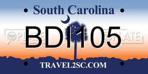 BDI105 South Carolina License Plate