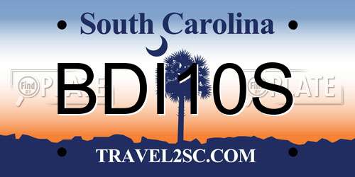 BDI10S South Carolina License Plate
